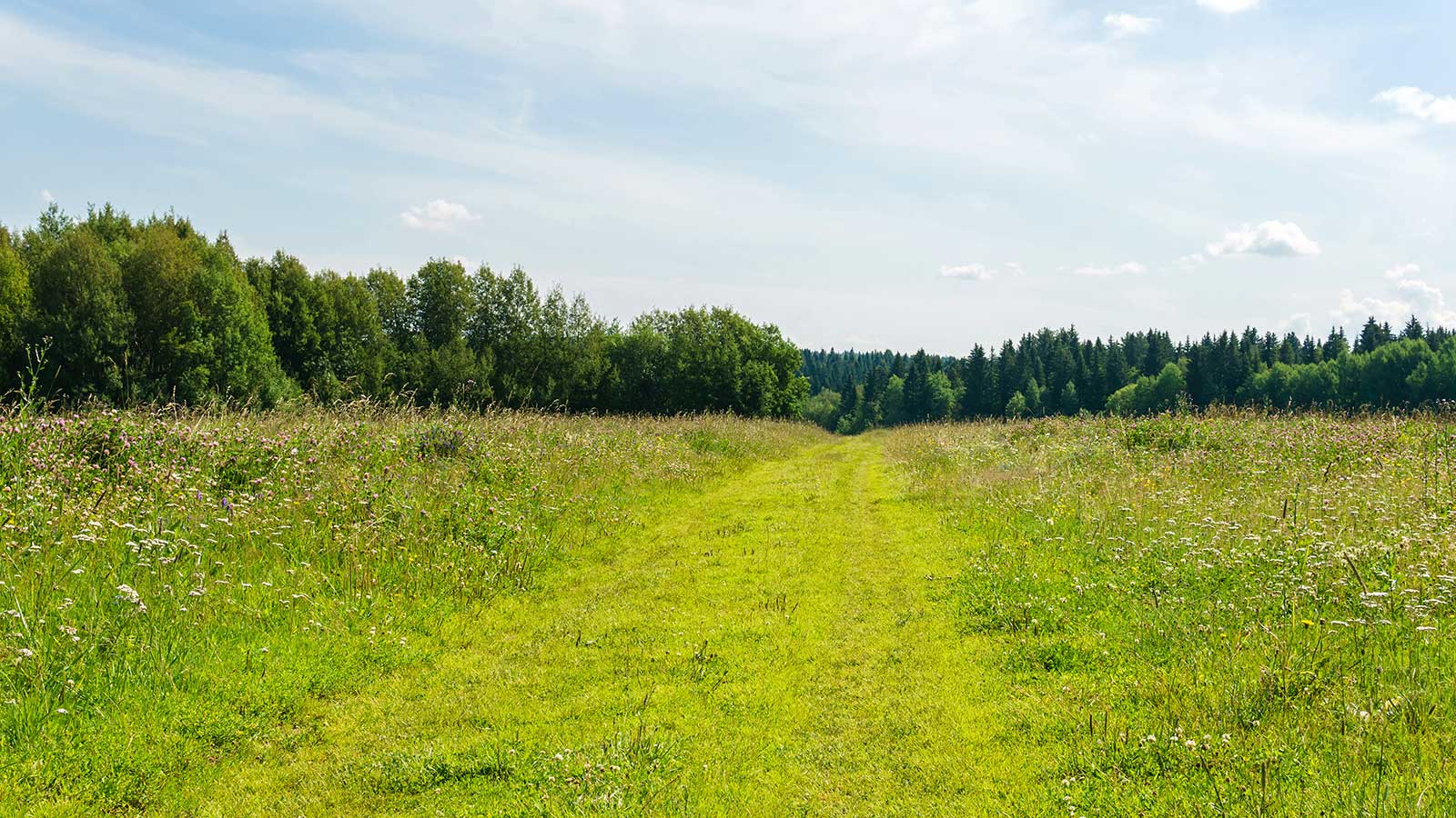 Homesite-Evaluation-Lots-Land-Subdivision Homesite-Evaluation-Lots-Land-Subdivision